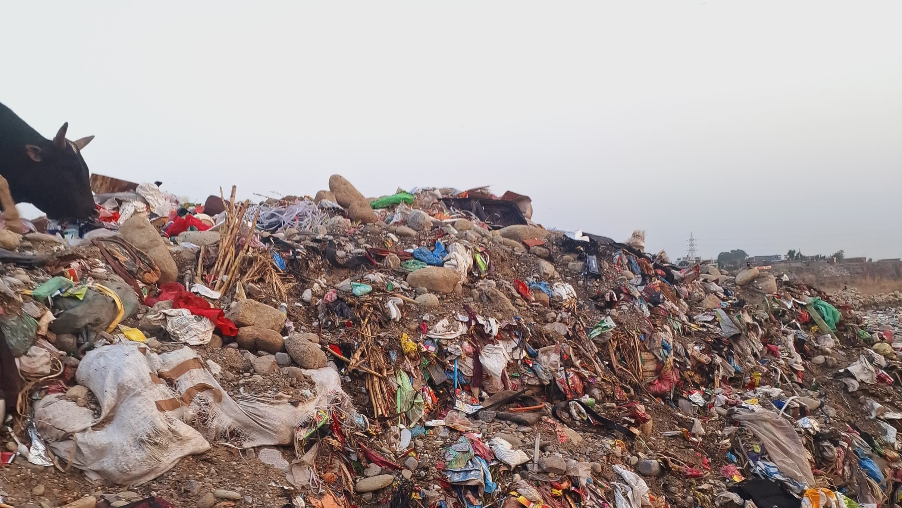 An image which shows a black cow near a pile of mixed waste, including sacks, clothes, and plastic wrappers, at the Butwal dumping site.