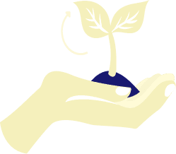 Conservation