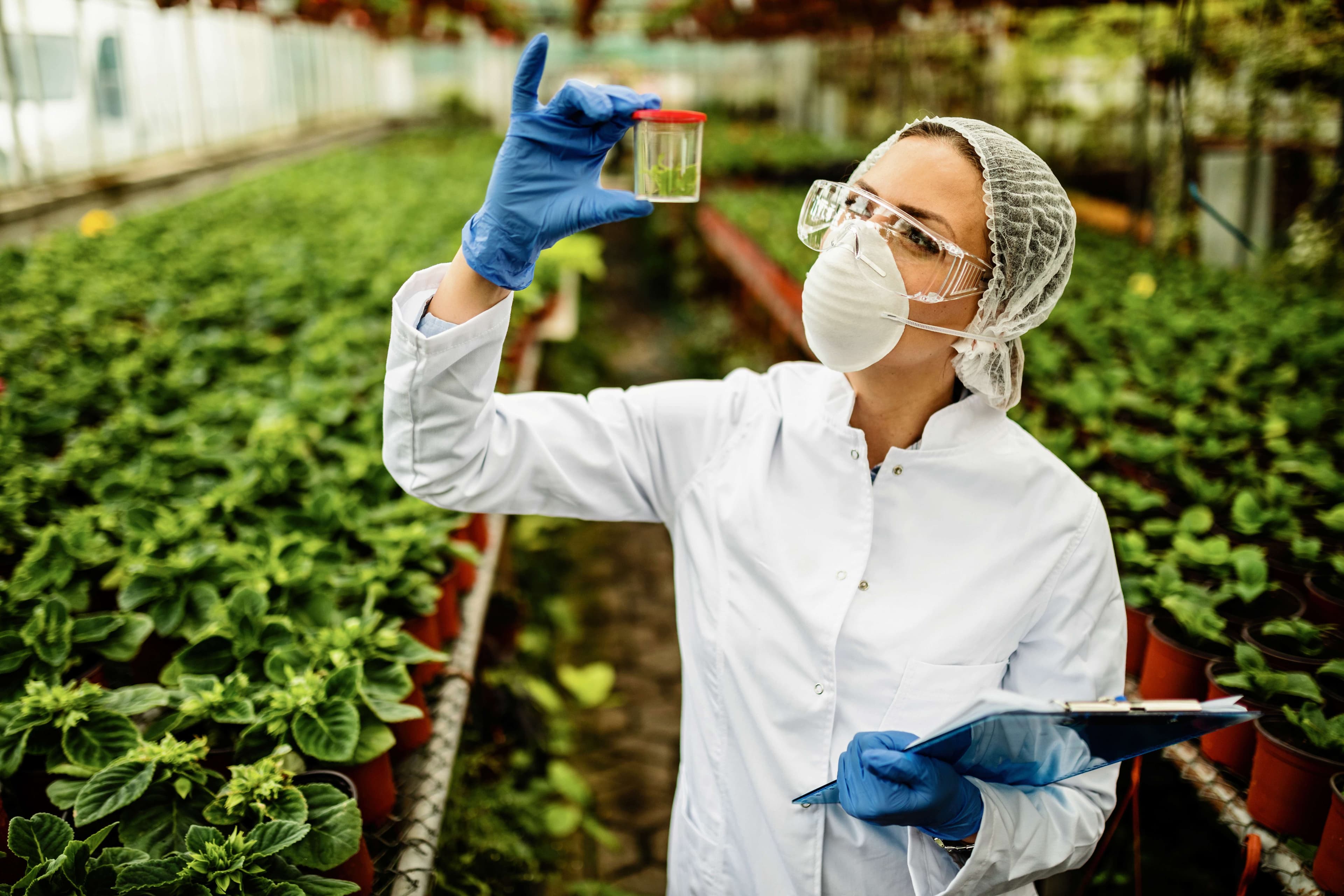 A woman wearing mask and lab goggles and analyzing a container with red cap in a green house