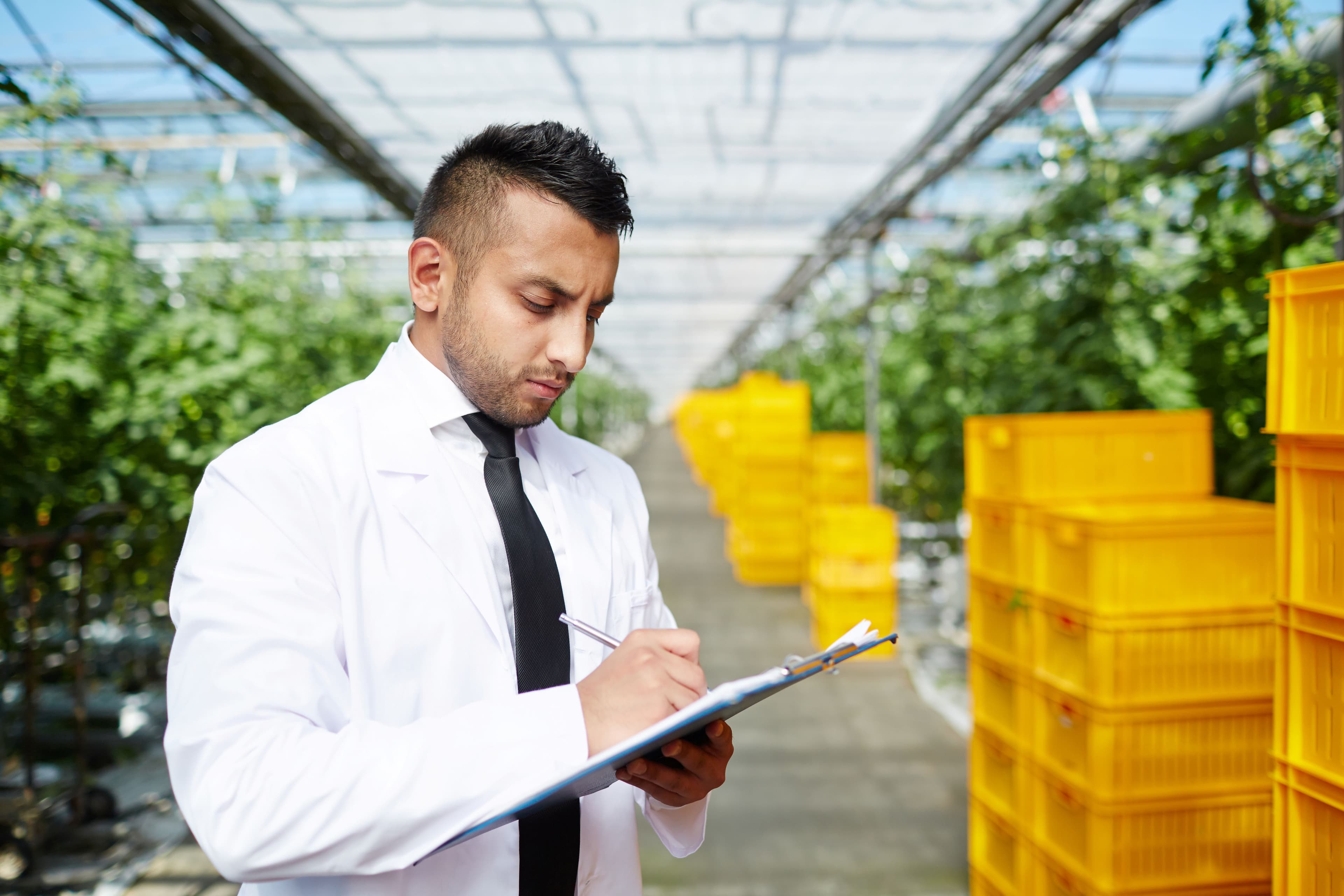 A person wearing a white shirt and black tie carrying a clipboard in a green house